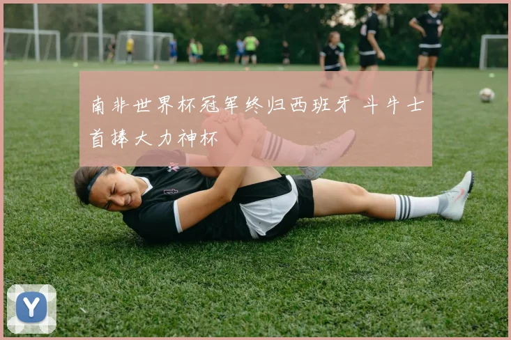 南非世界杯冠军终归西班牙 斗牛士首捧大力神杯