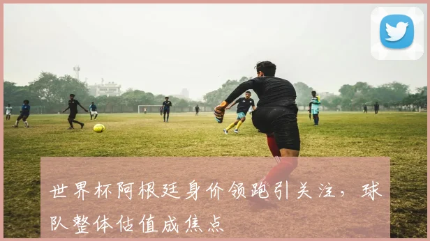世界杯阿根廷身价领跑引关注,球队整体估值成焦点