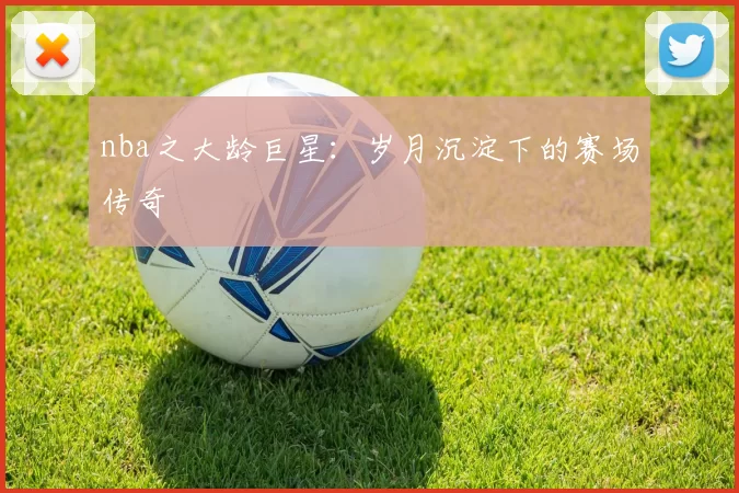 nba之大龄巨星:岁月沉淀下的赛场传奇