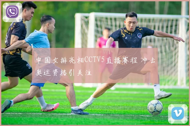 中国女排亮相CCTV5直播赛程 冲击奥运资格引关注