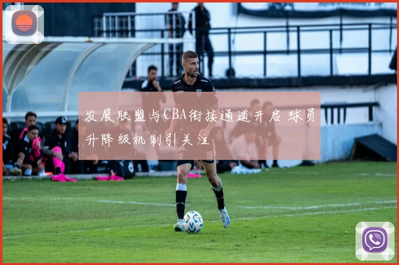 发展联盟与CBA衔接通道开启 球员升降级机制引关注